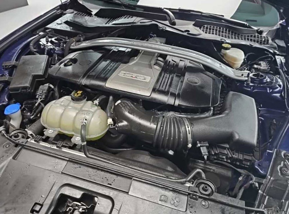 포드 머스탱 5.0 GT 컨버터블 사진 5