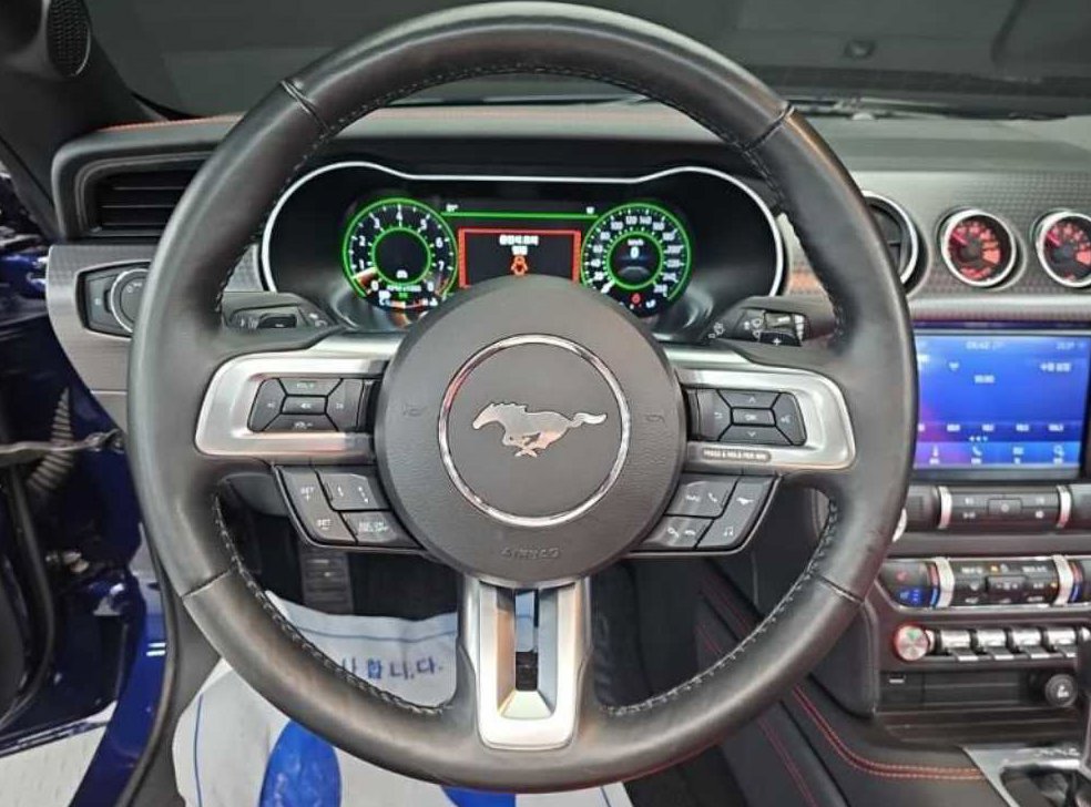 포드 머스탱 5.0 GT 컨버터블 사진 9