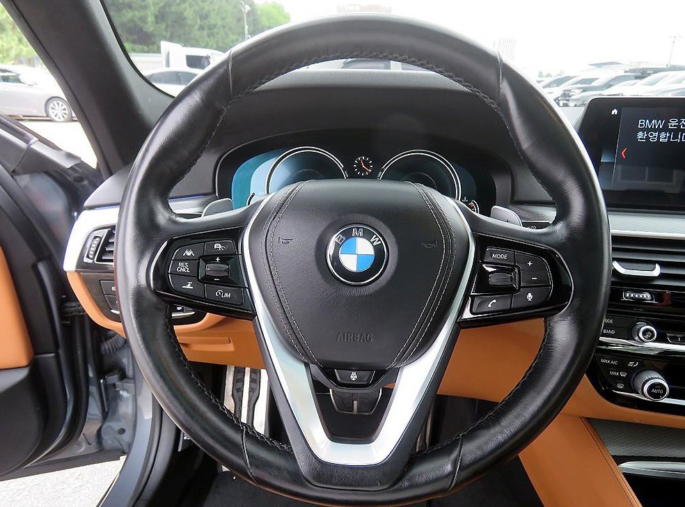 BMW 5시리즈 530i xDrive M 스포츠 사진 10