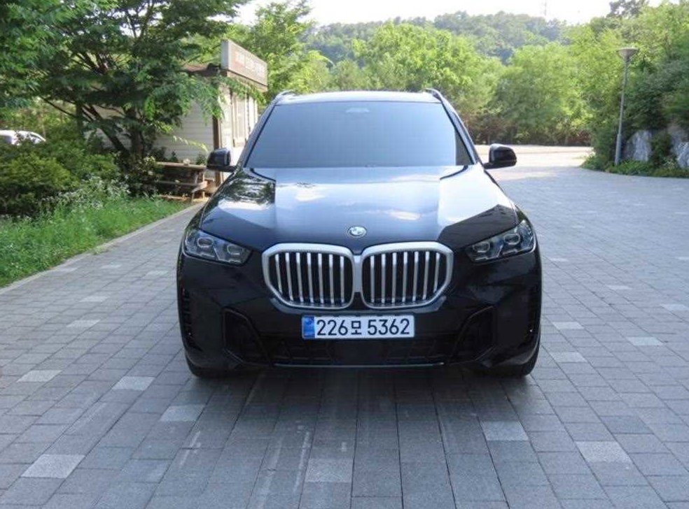 BMW X5 xDrive 30d M 스포츠