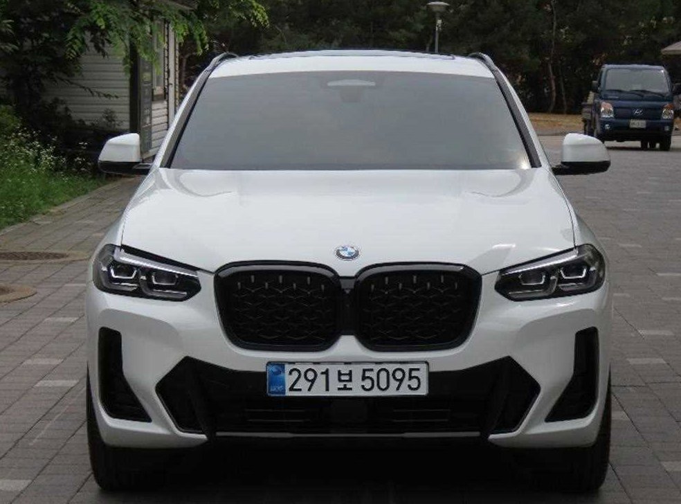 BMW X4 xDrive 20i M 스포츠 프로