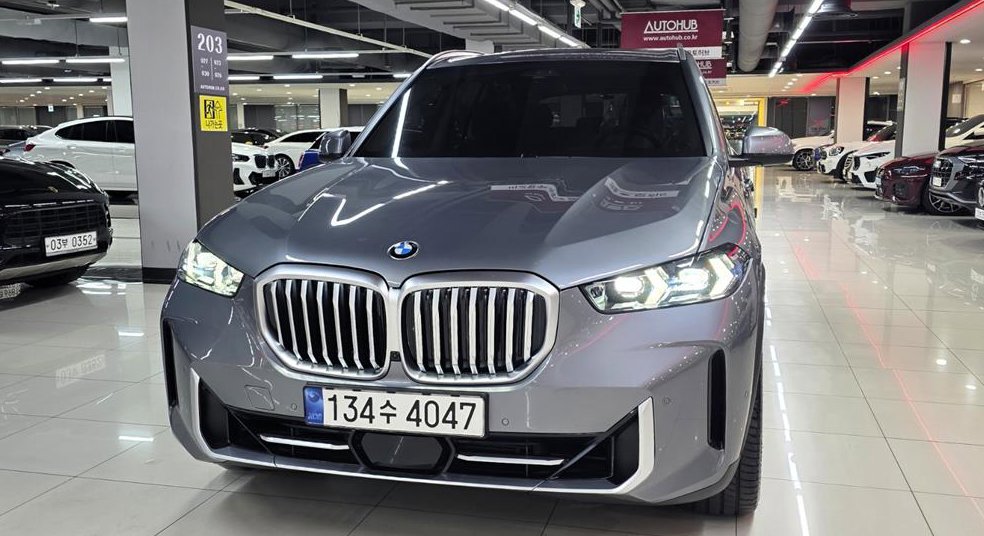 BMW X5 xDrive 30d xLine 사진 19