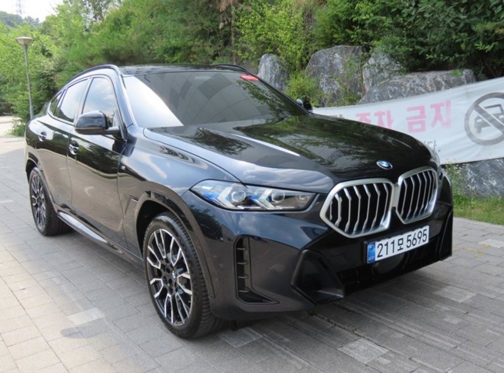 BMW X6 xDrive 30d M 스포츠 사진 2