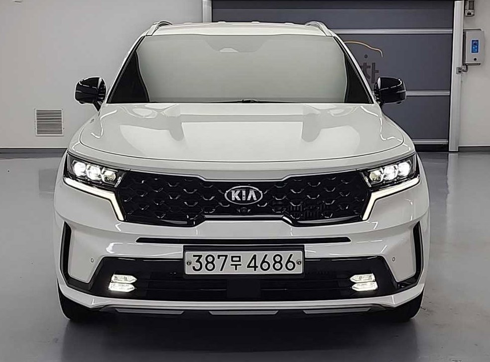 기아 쏘렌토 HEV 1.6 2WD 시그니처 사진 2