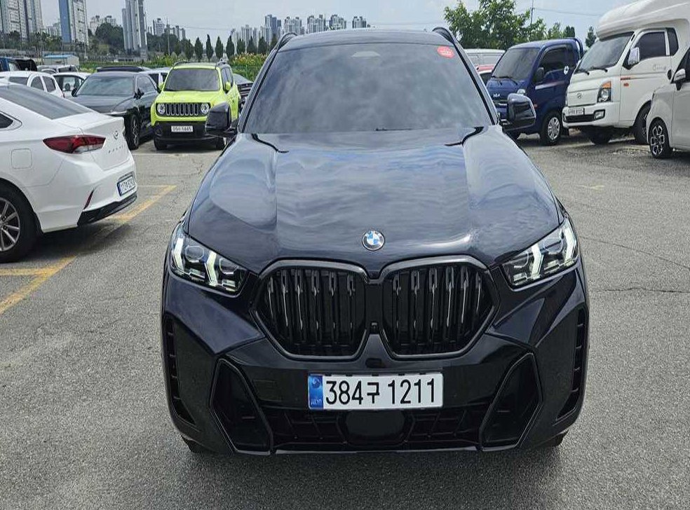 BMW X6 xDrive 40i M 스포츠 사진 2
