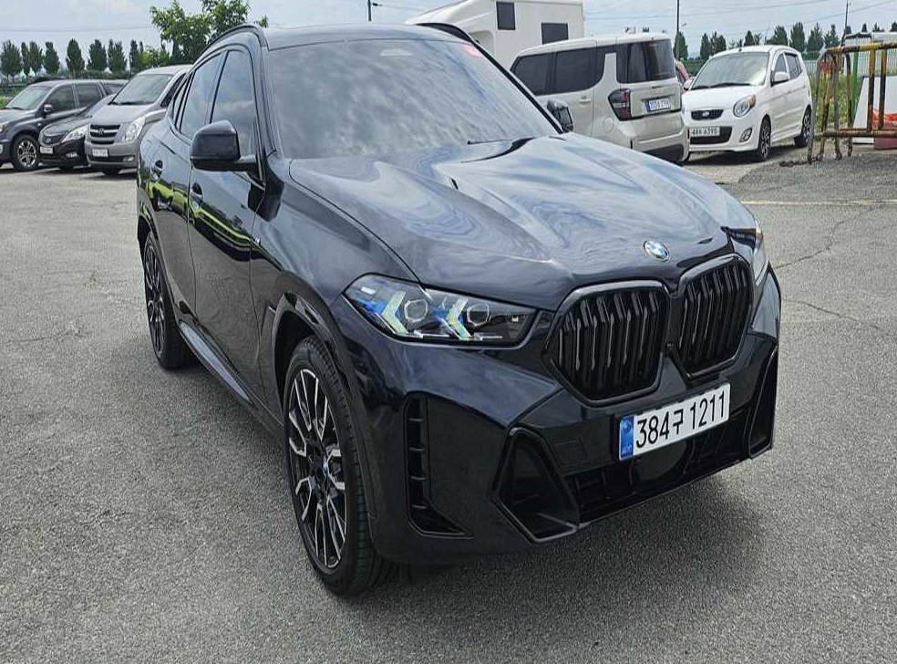 BMW X6 xDrive 40i M 스포츠 사진 3