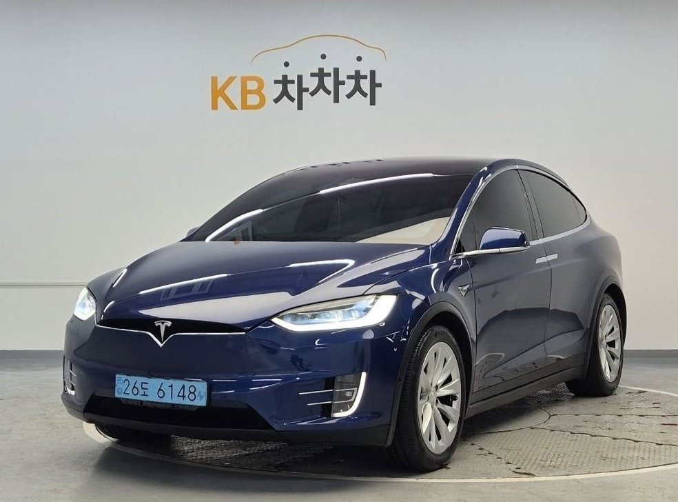 테슬라 모델 X 100D 사진 1