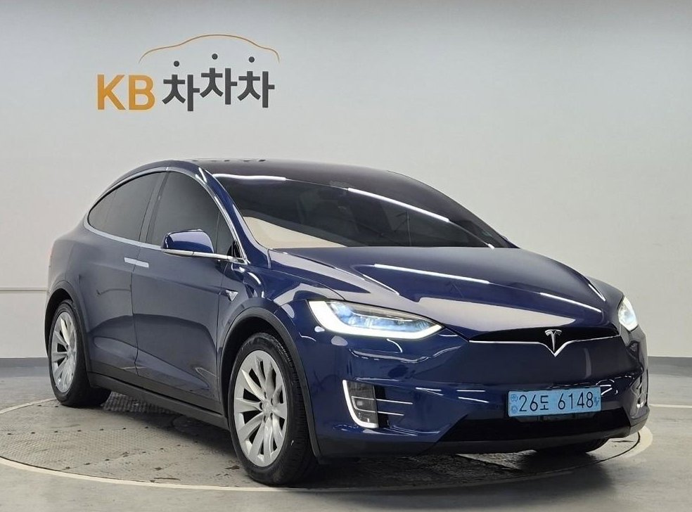테슬라 모델 X 100D 사진 2