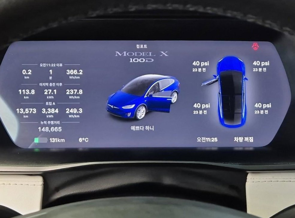 테슬라 모델 X 100D 사진 5