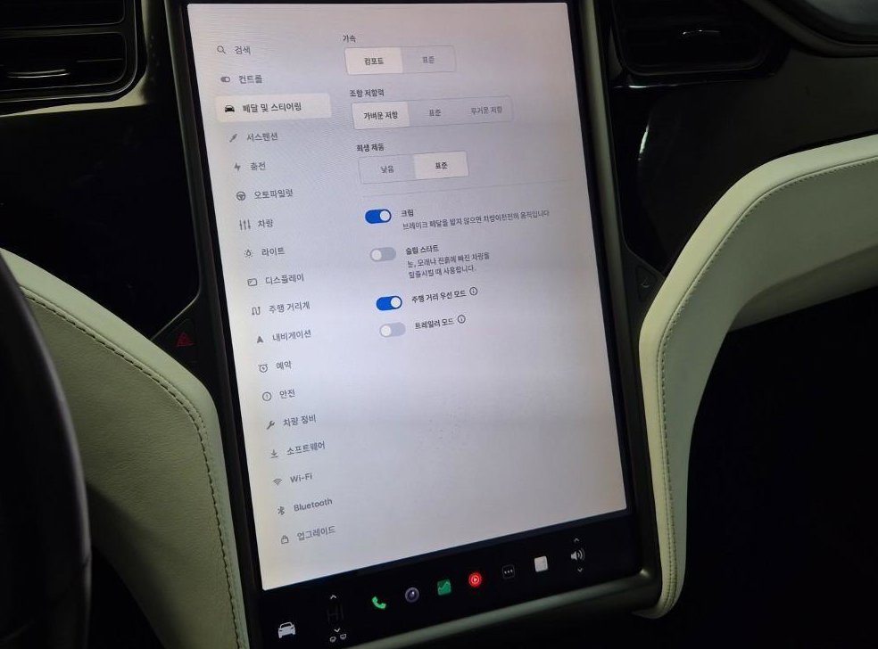 테슬라 모델 X 100D 사진 9