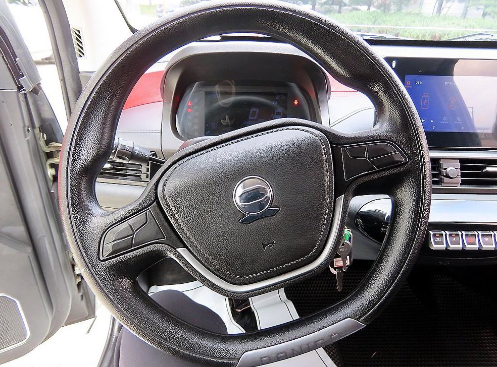 기타제조사 다니고 EV 사진 8
