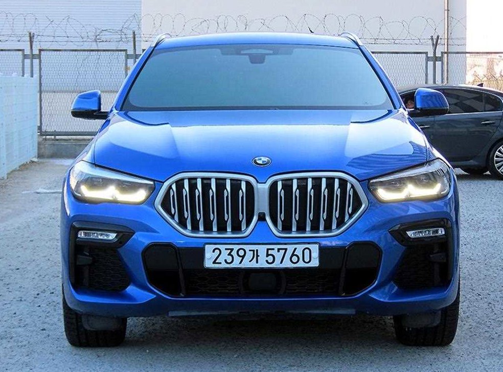BMW X6 xDrive 30d M 스포츠 사진 2
