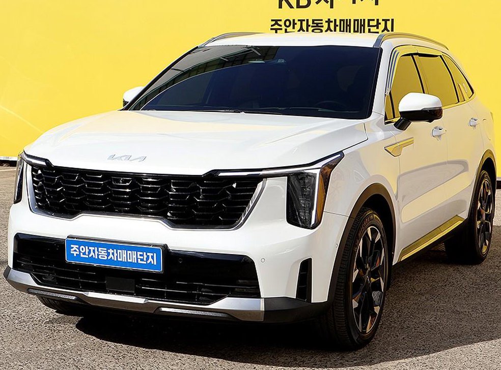 기아 쏘렌토 디젤 2.2 2WD 시그니처 사진 2