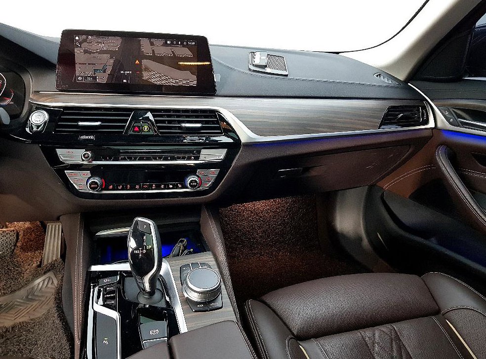 BMW 5시리즈 520d xDrive 럭셔리 플러스 사진 10