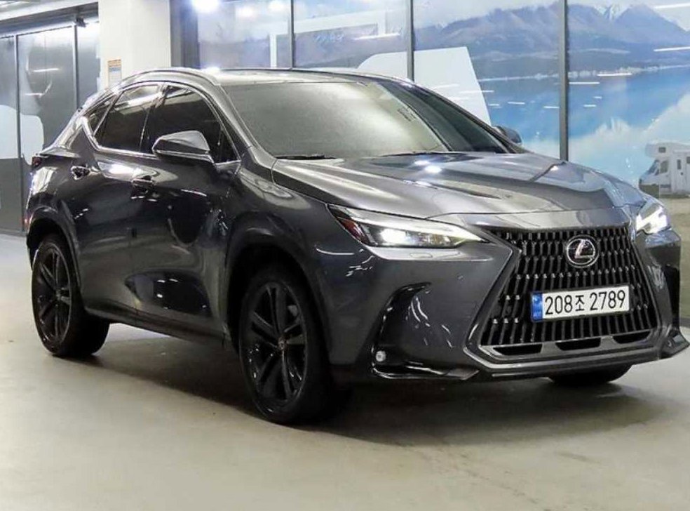렉서스 NX 프리미엄