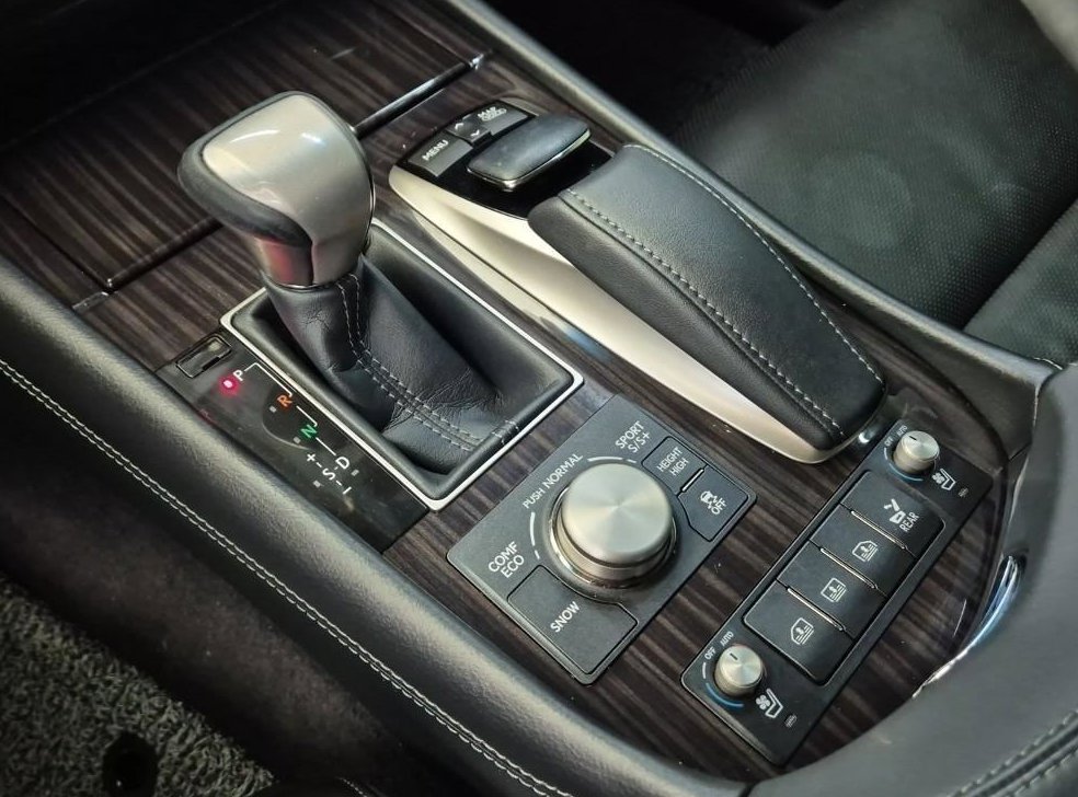 렉서스 LS AWD 사진 10