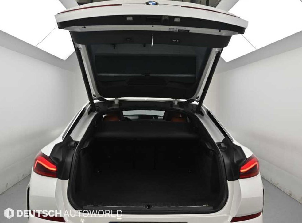 BMW X6 xDrive 30d M 스포츠 사진 19