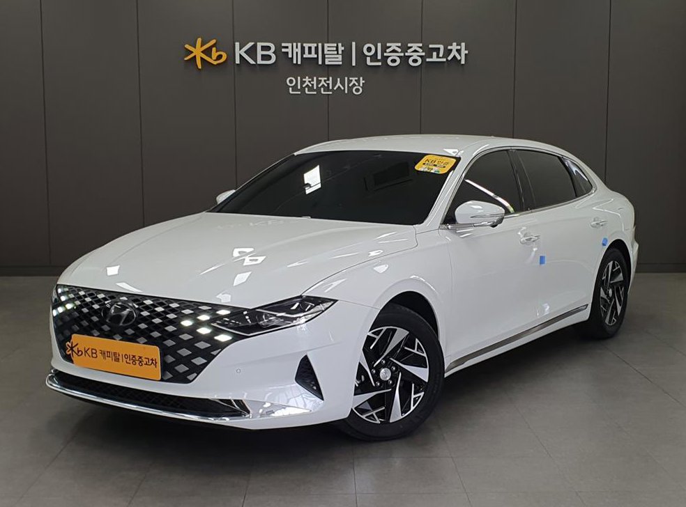 현대 그랜저 르블랑