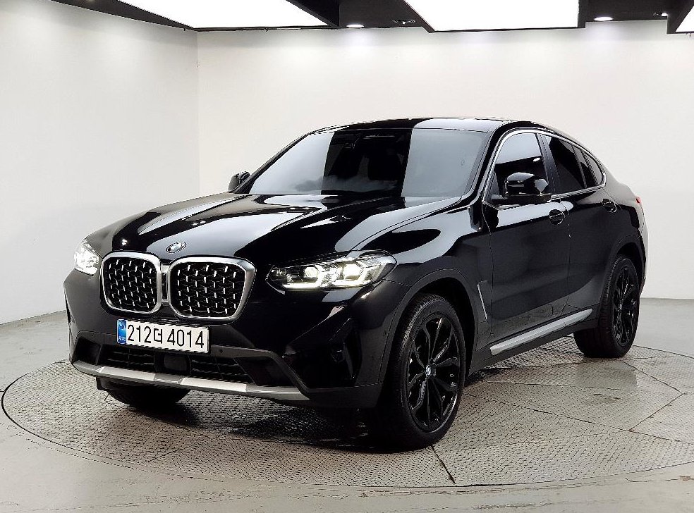 BMW X4 xDrive 20i xLine