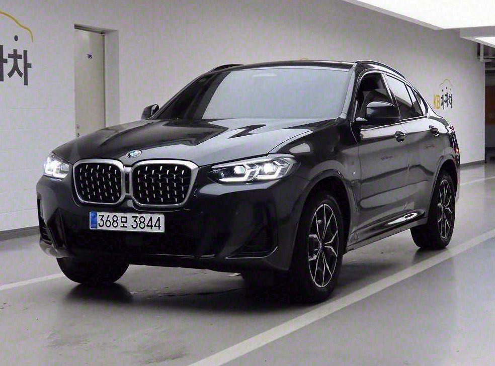 BMW X4 xDrive 20i xLine 사진 2