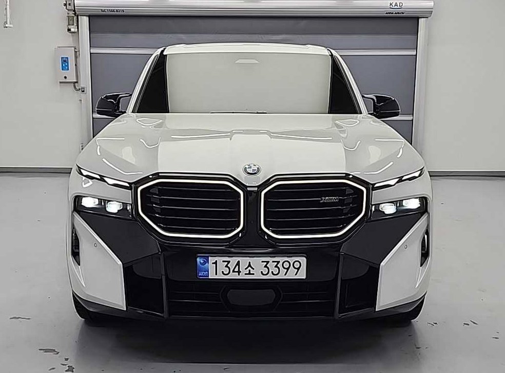 BMW XM 4.4 사진 3