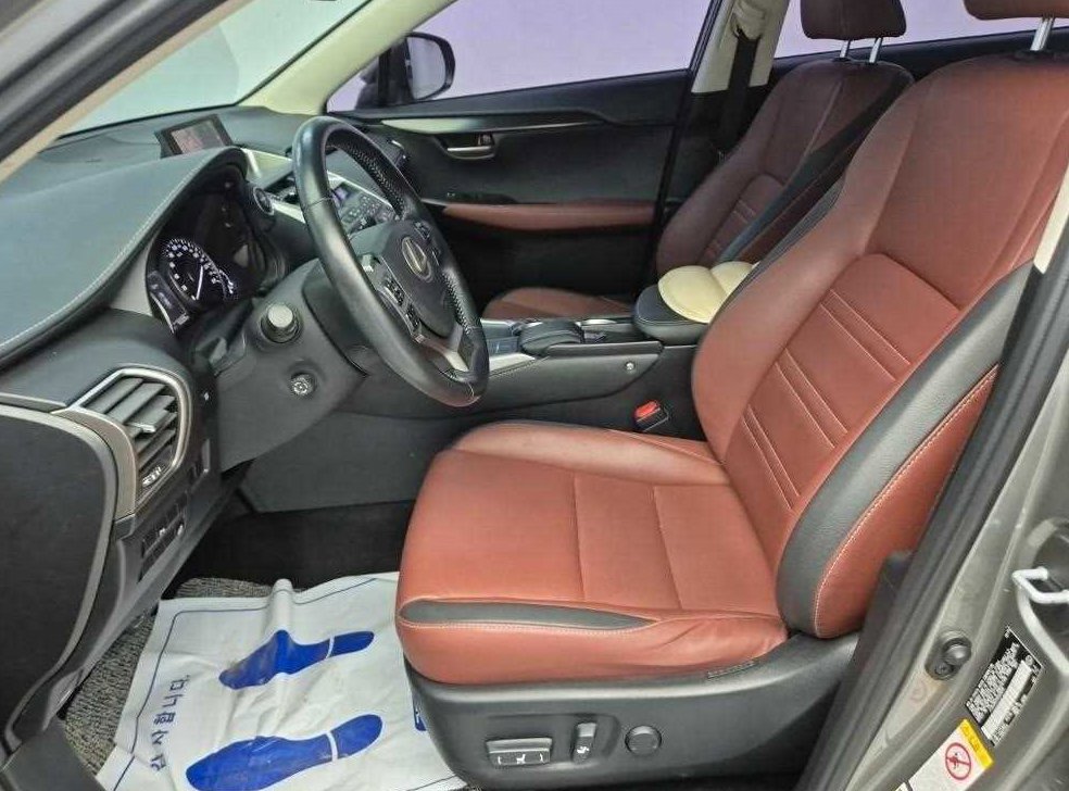렉서스 NX 슈프림 사진 11