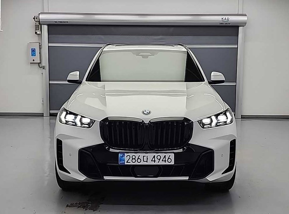 BMW X5 xDrive 30d M 스포츠
