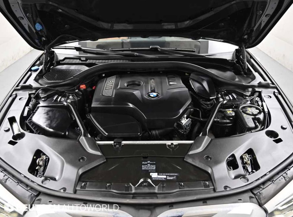 BMW 5시리즈 530i xDrive M 스포츠 플러스 사진 6