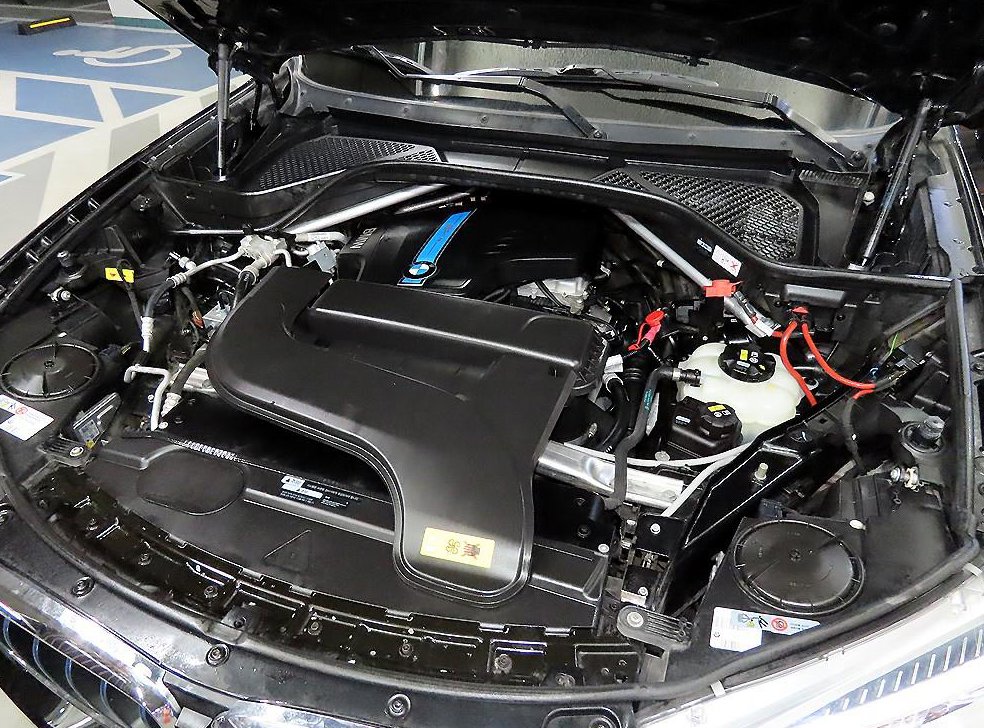 BMW X5 xDrive 40e I 퍼포먼스 사진 19