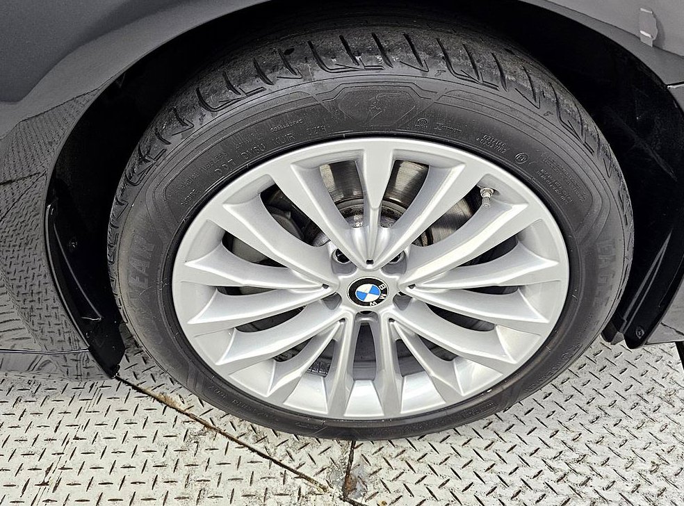 BMW 5시리즈 520d 럭셔리 스페셜 에디션 사진 20