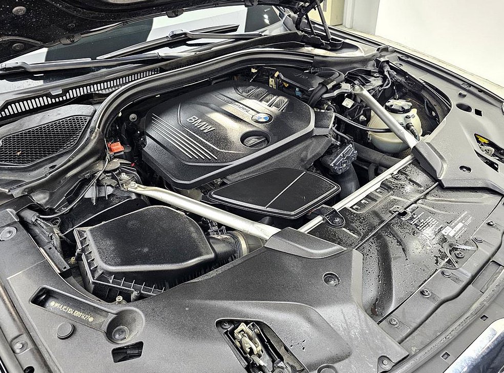 BMW 5시리즈 520d 럭셔리 스페셜 에디션 사진 6