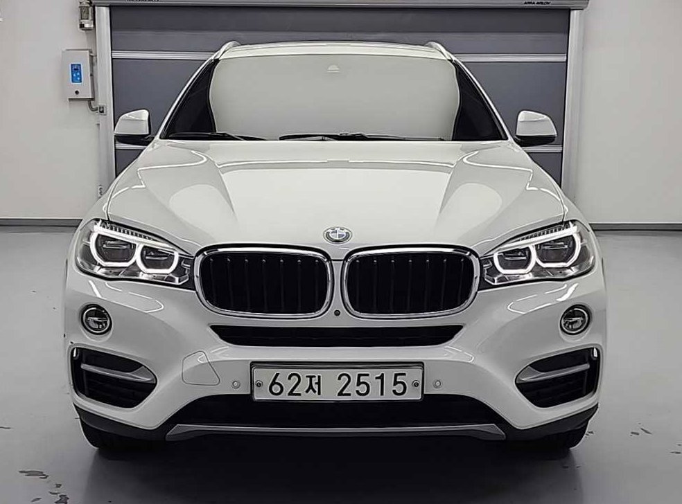 BMW X6 xDrive 30d 사진 2