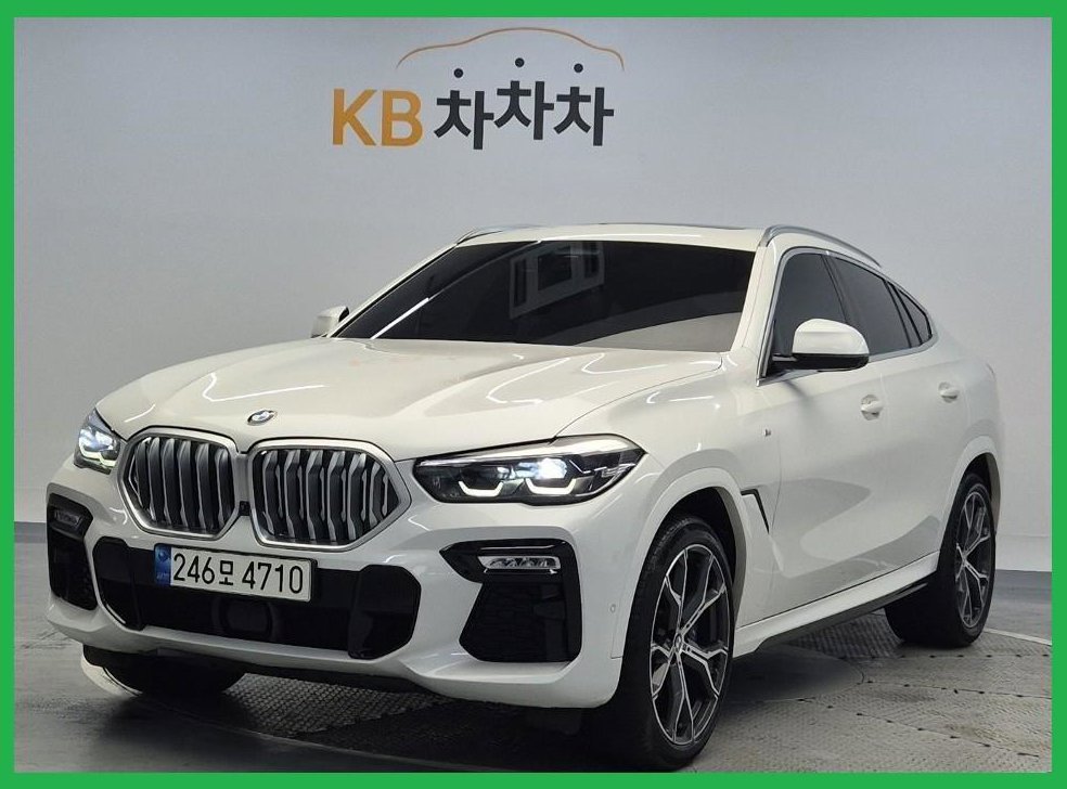 BMW X6 xDrive 30d M 스포츠