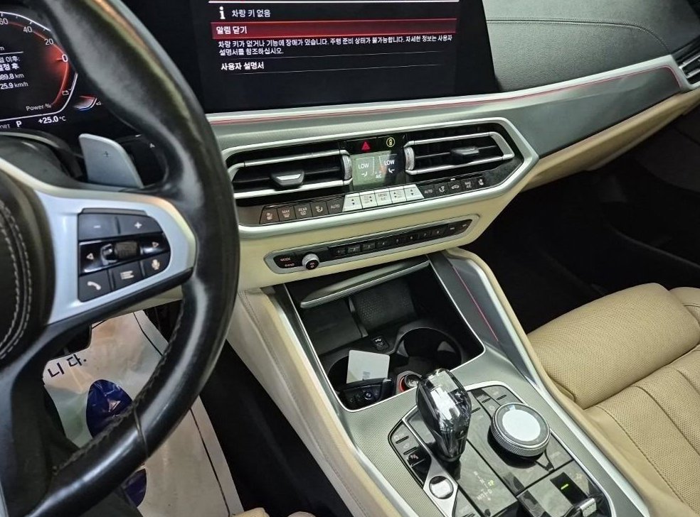 BMW X6 xDrive 30d M 스포츠 사진 10