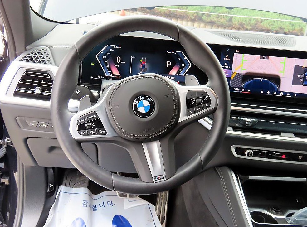 BMW X6 xDrive 40i M 스포츠 사진 8