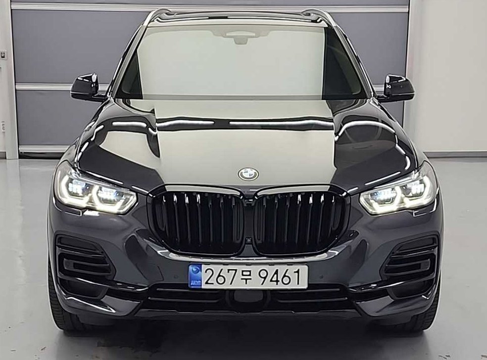 BMW X5 xDrive 30d xLine 사진 2