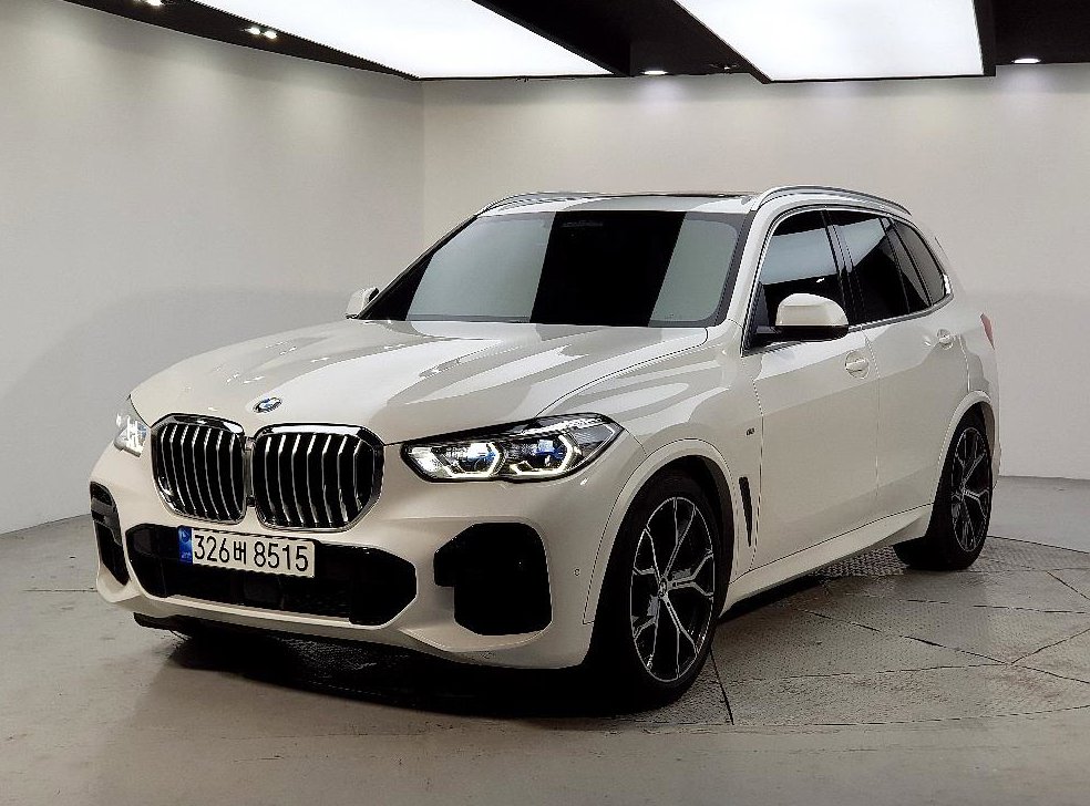 BMW X5 xDrive 30d M 스포츠