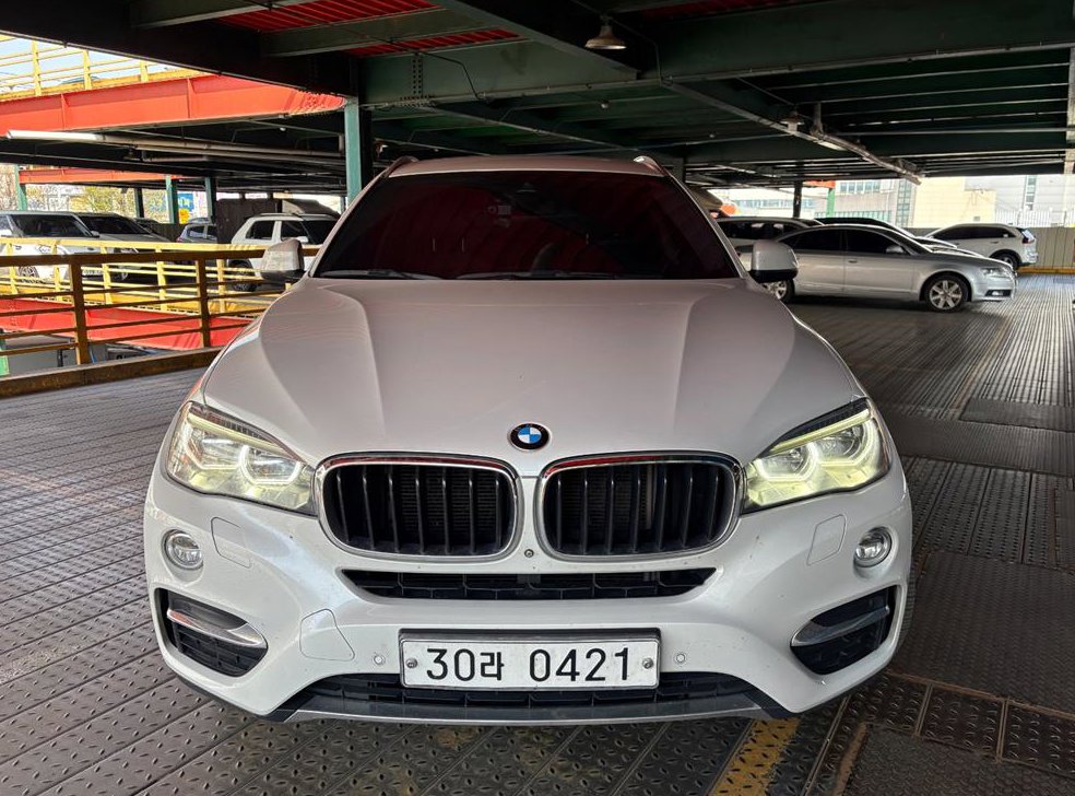 BMW X6 xDrive 30d 사진 3