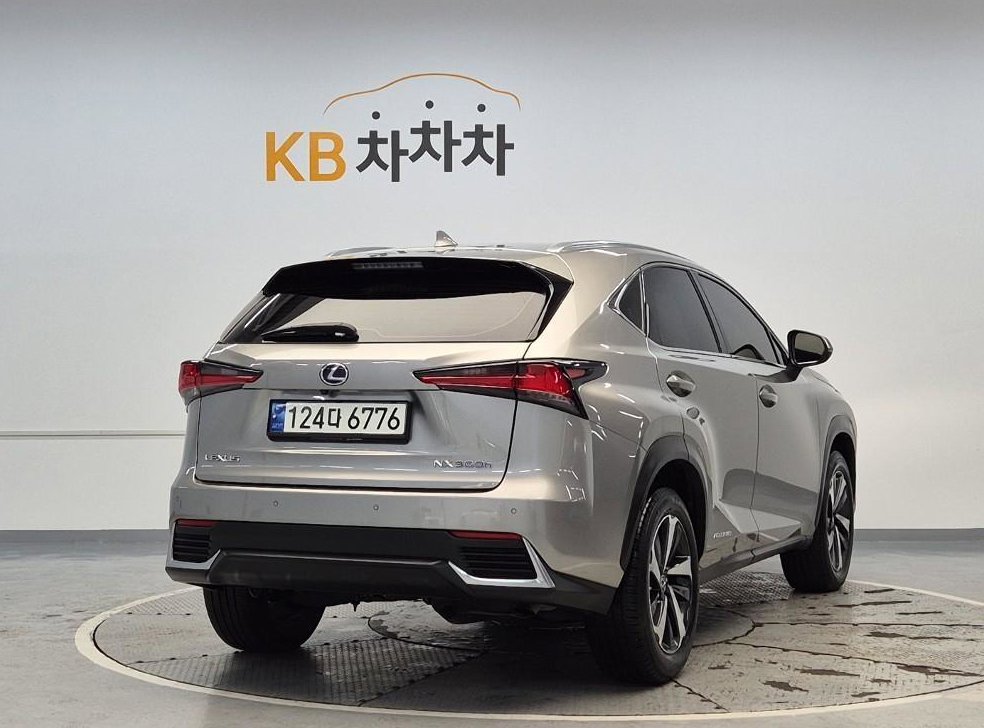 렉서스 NX 슈프림 사진 3
