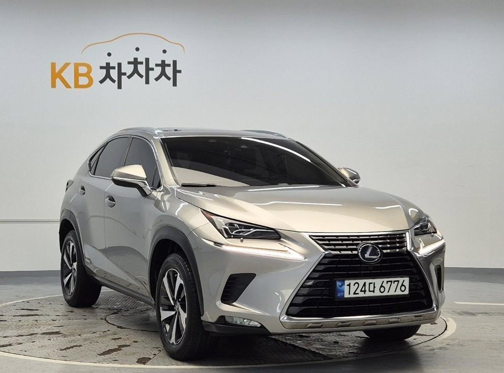 렉서스 NX 슈프림 사진 4