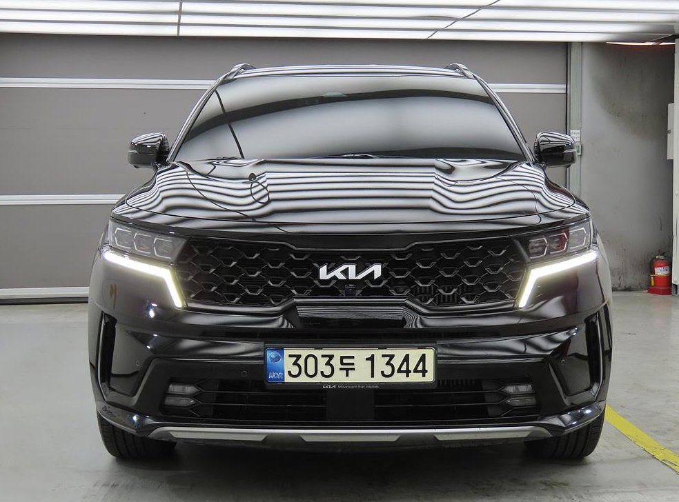 기아 쏘렌토 HEV 1.6 2WD 그래비티 사진 2