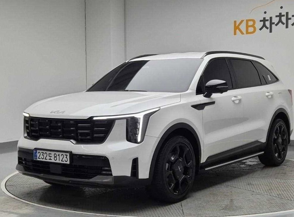 기아 쏘렌토 디젤 2.2 2WD 시그니처 그래비티