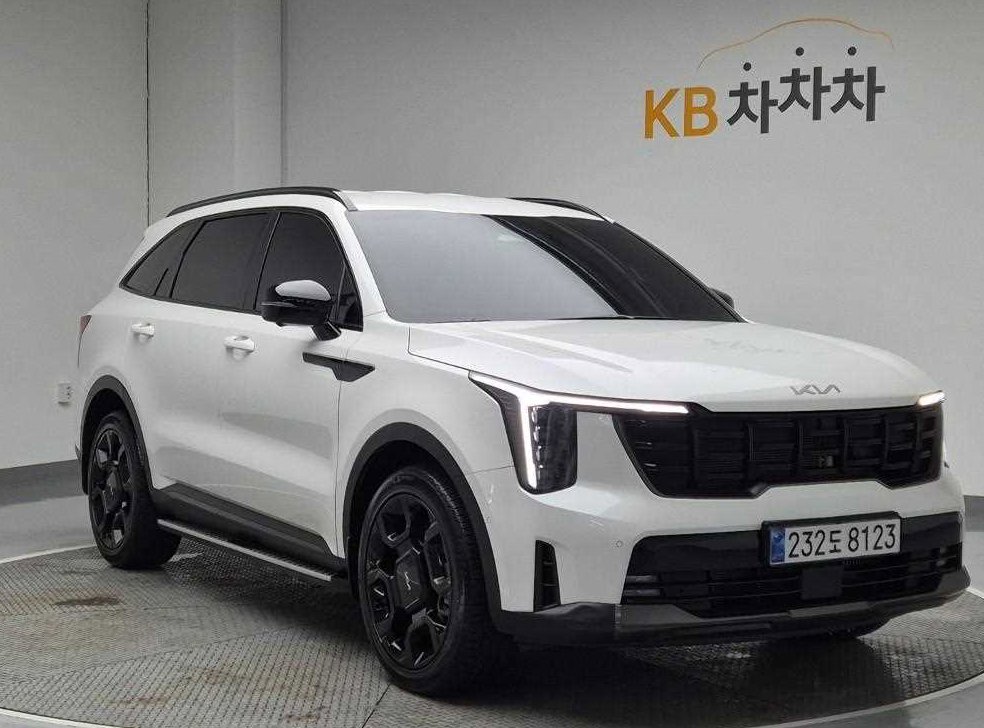 기아 쏘렌토 디젤 2.2 2WD 시그니처 그래비티 사진 4