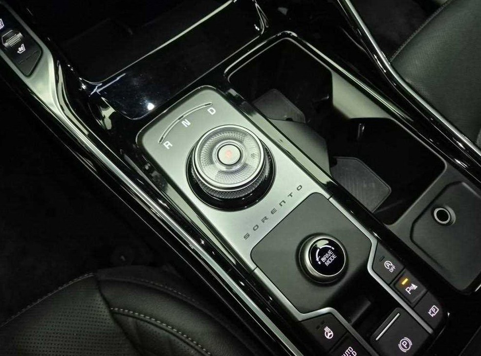 기아 쏘렌토 디젤 2.2 2WD 시그니처 그래비티 사진 8