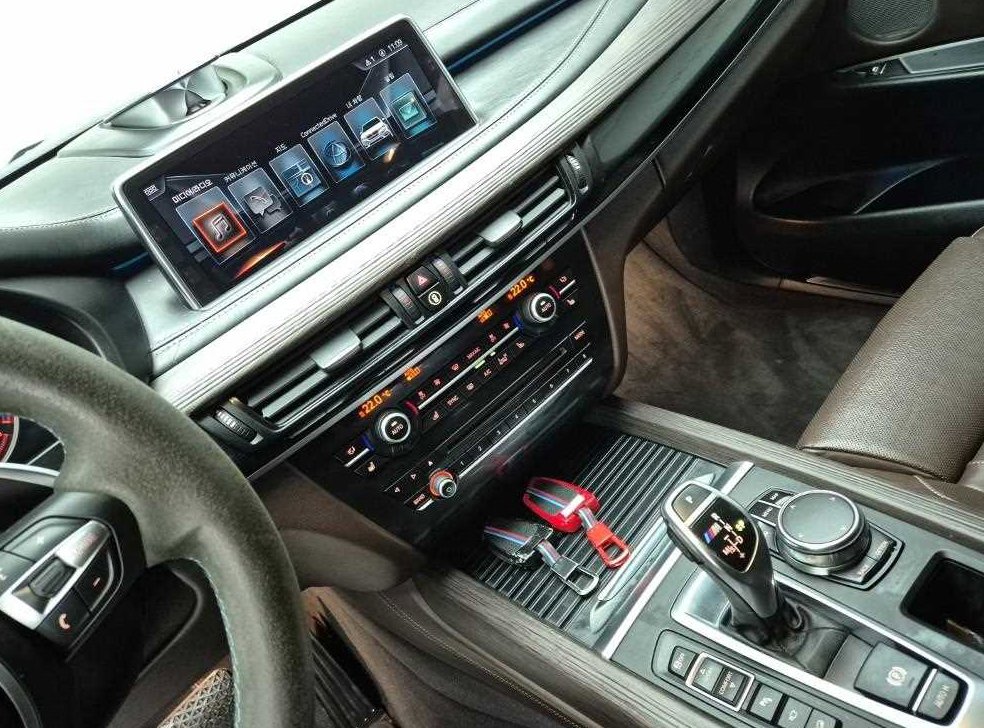 BMW X5 xDrive M50d 사진 10