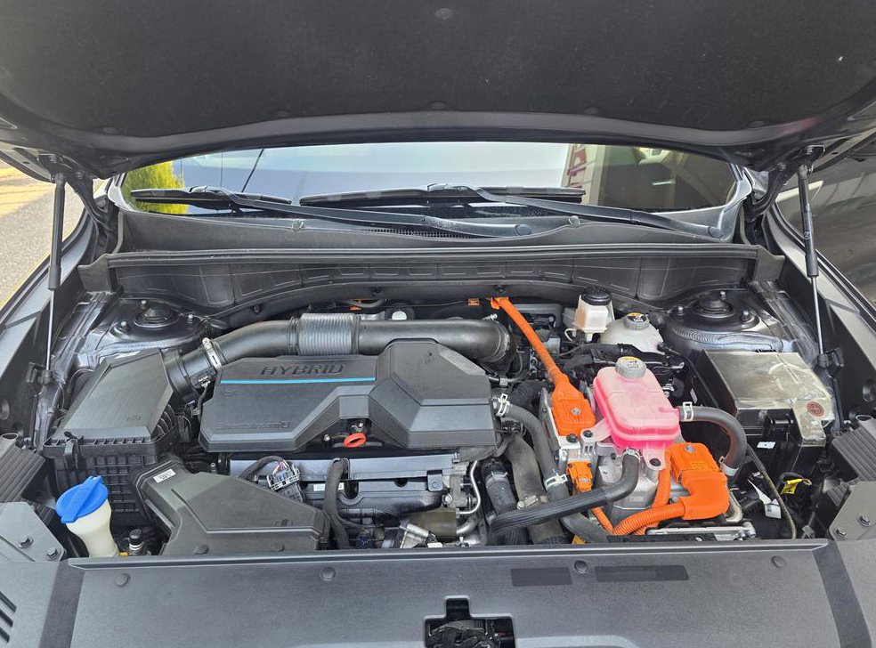 기아 쏘렌토 HEV 1.6 2WD 시그니처 사진 20