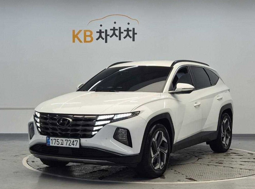 현대 투싼 디젤 2.0 2WD 인스퍼레이션