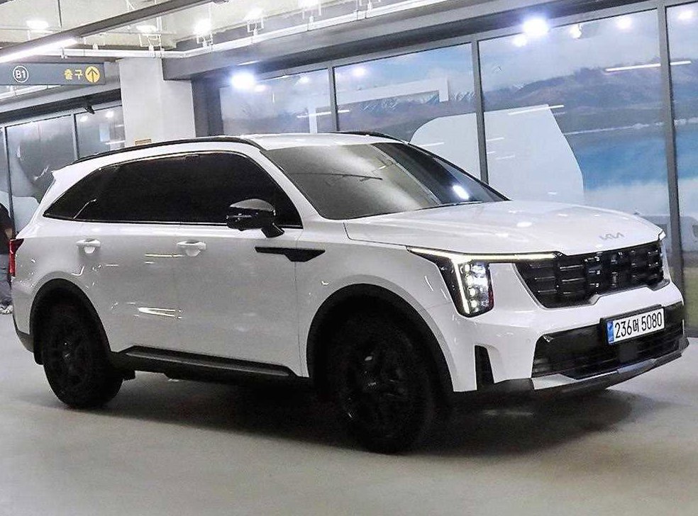 기아 쏘렌토 1.6T 2WD 시그니처 그래비티