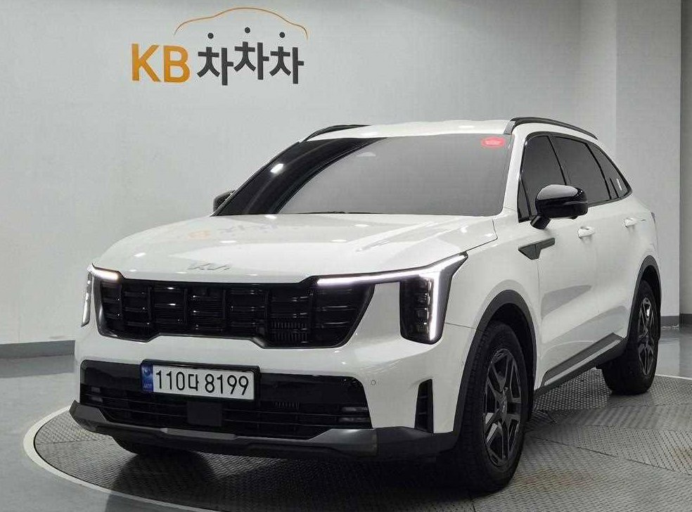 기아 쏘렌토 1.6T 2WD 시그니처 그래비티