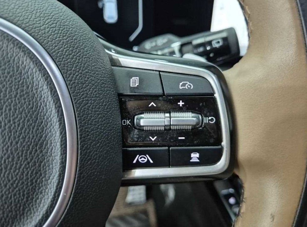 기아 쏘렌토 1.6T 2WD 시그니처 그래비티 사진 15